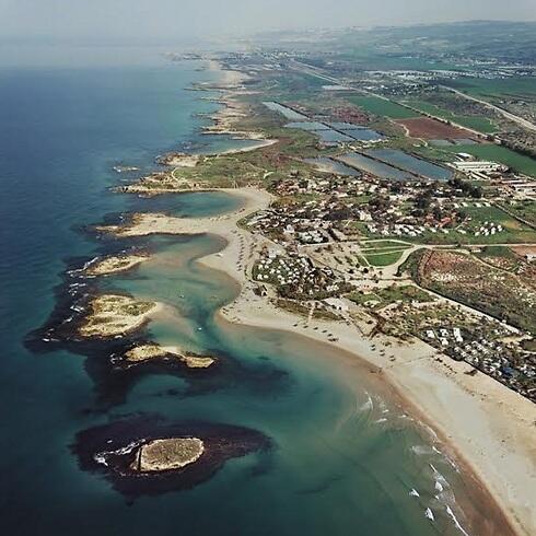 צילום: עמותת כרמלים