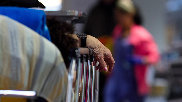 Фото: Амир Леви (צילום: אמיר לוי) Фото: Амир Леви