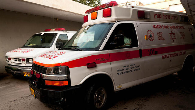 Фото: Ярон Бренер