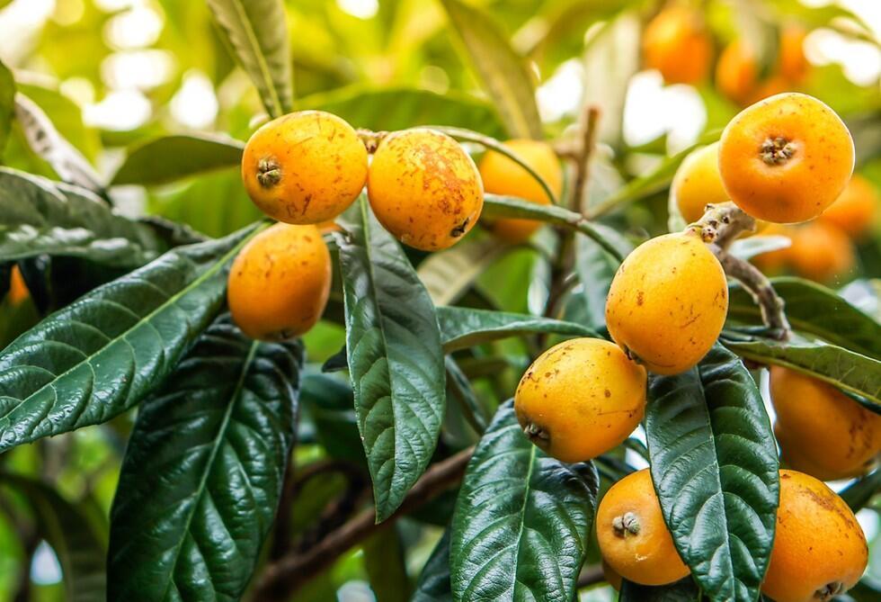 Фото: shutterstock (צילום: shutterstock) Фото: shutterstock