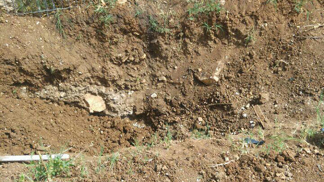 Фото: пресс-служба полиции (צילום: דוברות המשטרה) Фото: пресс-служба полиции