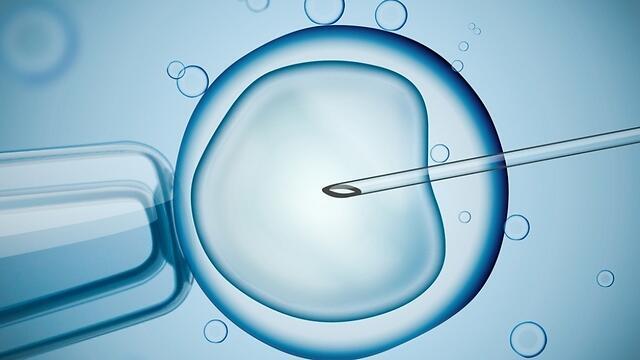 Фото: shutterstock