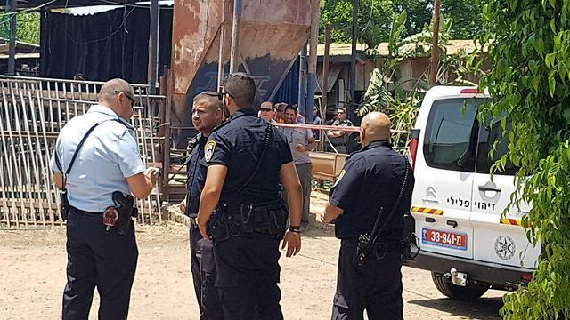 Photo: Raanan Ben Tzur