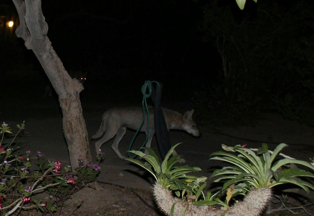 Фото: Гиль Каспи