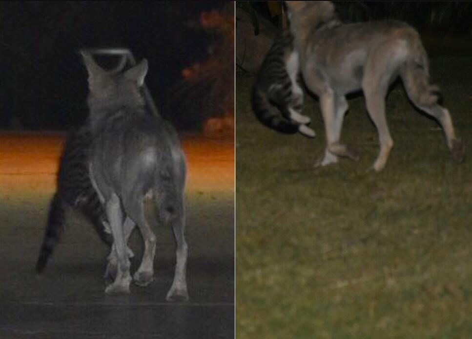 Фото: Гиль Каспи