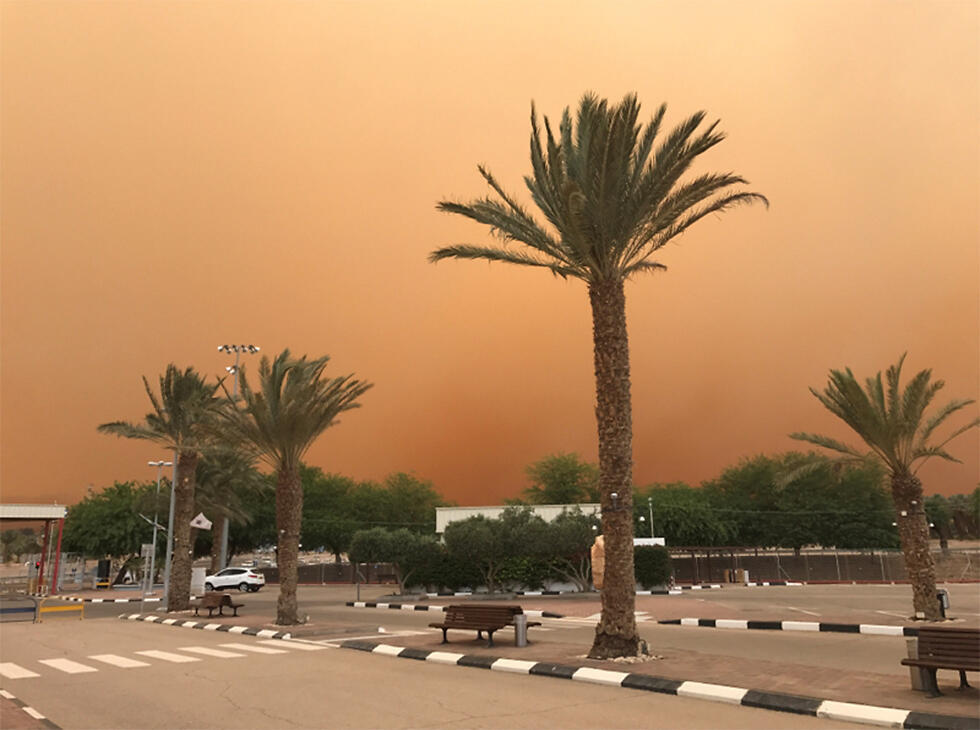 (Photo: Yasmin Dahan) (צילום: יסמין דהן) (Photo: Yasmin Dahan)