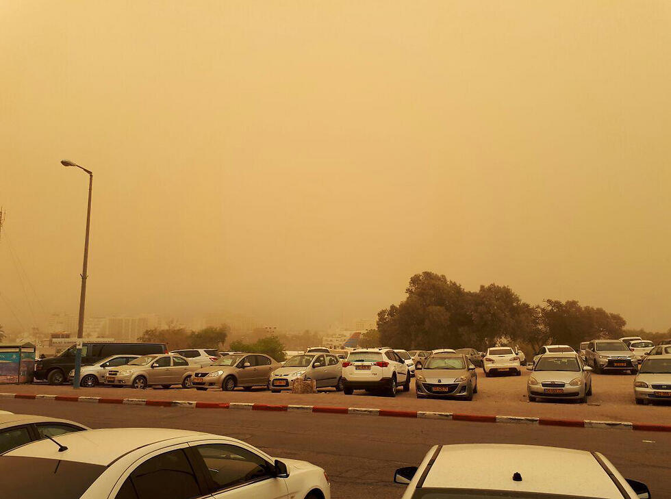 (Photo: Tali Aziza) (צילום: טלי עזיזה) (Photo: Tali Aziza)