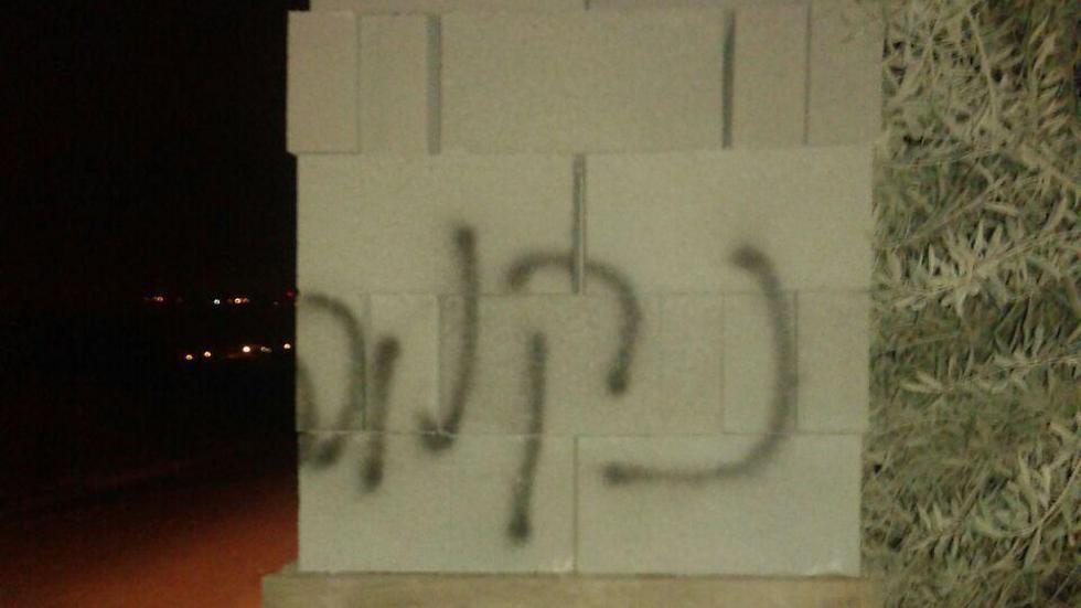 'Revenge' (Photo: Zacharia Sadeh)