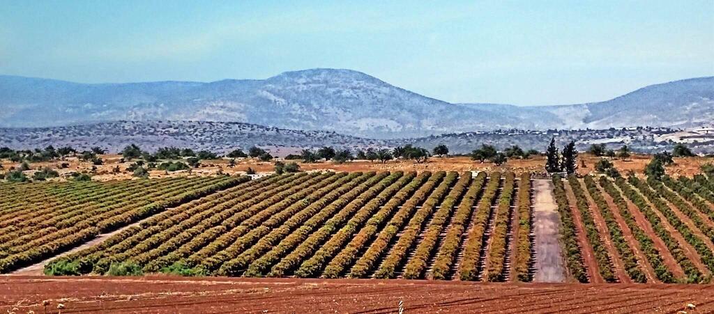 Вадим Малев