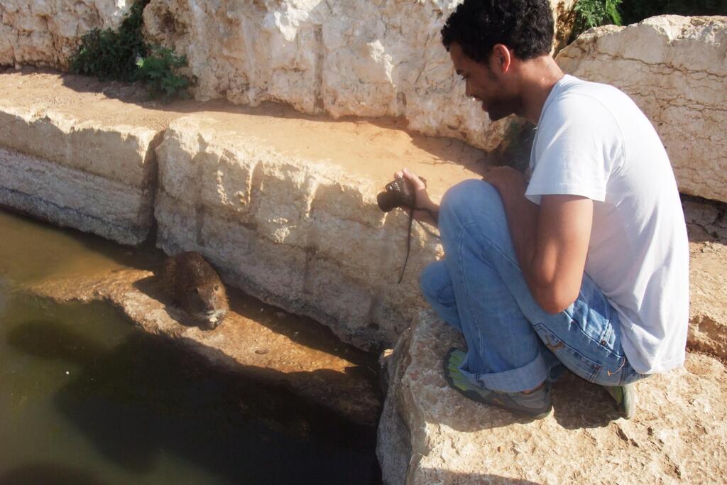  Фото: Леон Левитас