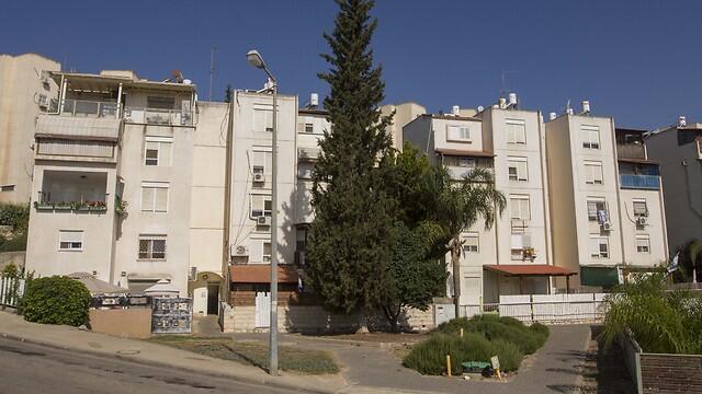 Фото: Идо Эрез (צילום: עידו ארז) Фото: Идо Эрез