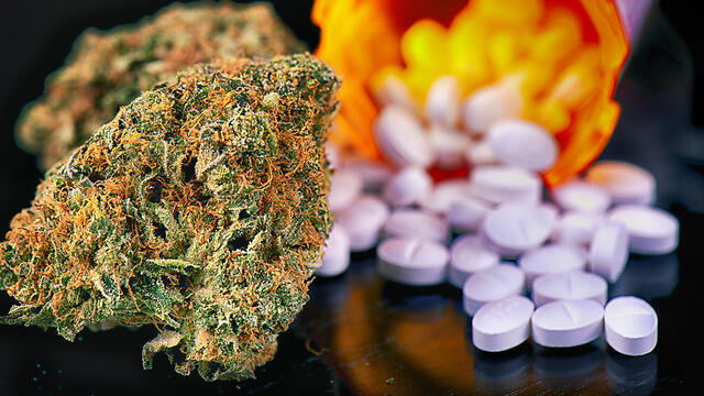 Фото: Shutterstock