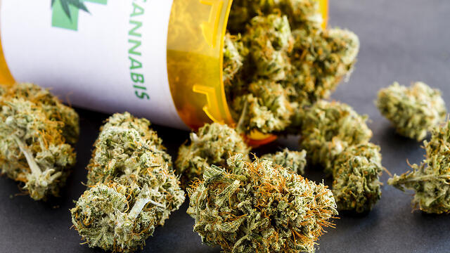 Medical cannabis (Photo: Shutterstock)