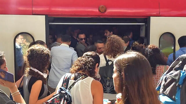 Фото: Игаль Твистер (צילום: יגאל טויסטר) Фото: Игаль Твистер