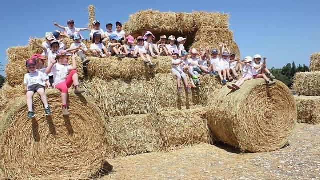 Photo: Ein HaShofet Regional Council