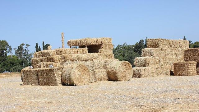 Kibbutz Ein HaShofet, which is celebrating 80 years since its founding (Photo: Megido Regional Council)
