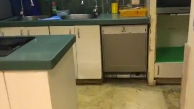 Photo: Nicol Raidman