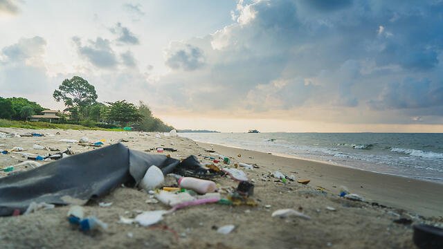 Фото: shutterstock (צילום: shutterstock) Фото: shutterstock