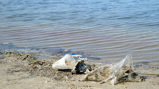 Фото: shutterstock (צילום: shutterstock) Фото: shutterstock