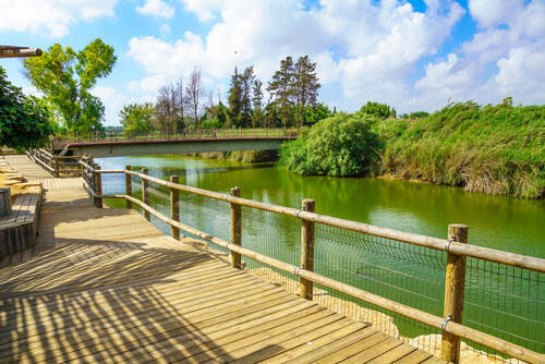 Черепаший мост. Фото: shutterstock