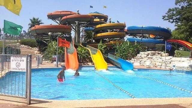 Меймадионnullnull Меймадион