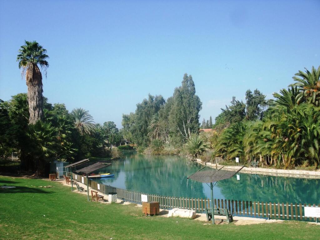 Леон Левитас