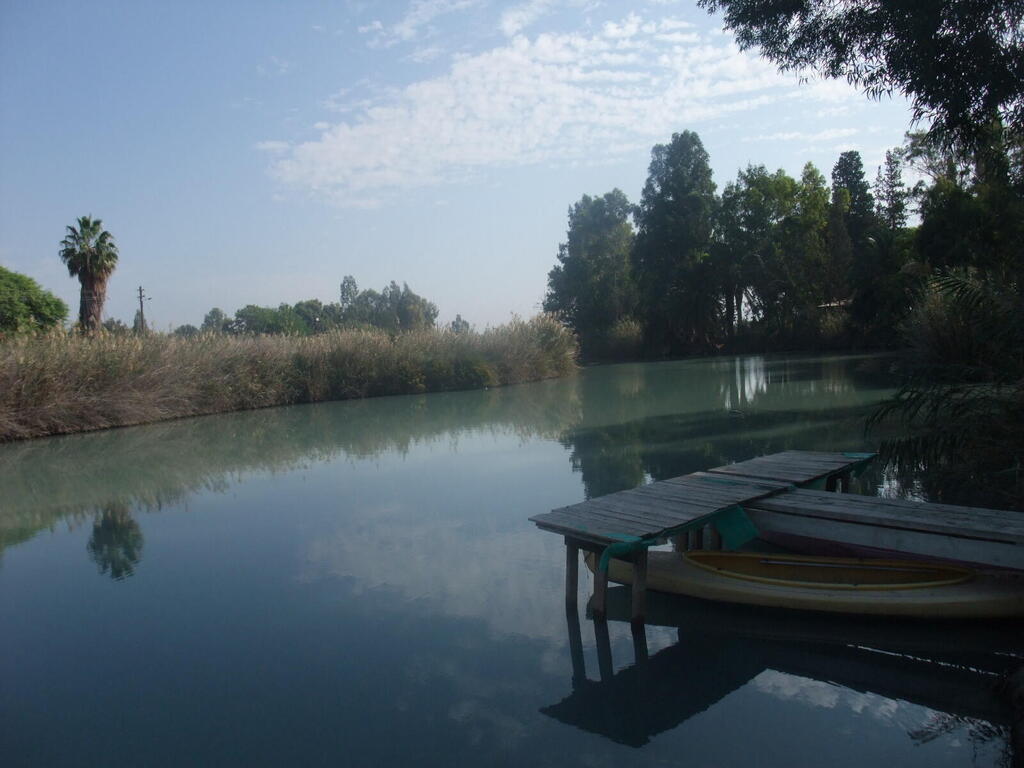 Леон Левитас