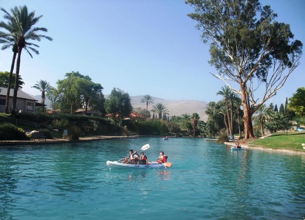 Леон Левитас