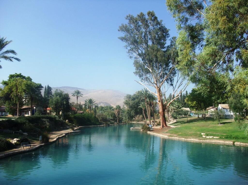 Леон Левитас