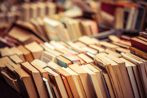 Фото: shutterstock