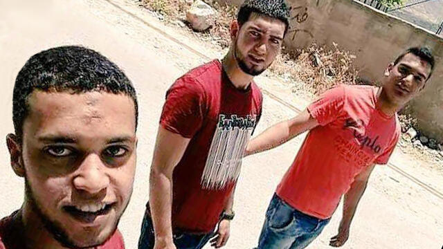 Террористы