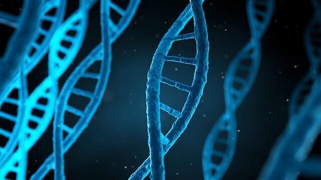 Фото: shutterstock (צילום: shutterstock) Фото: shutterstock