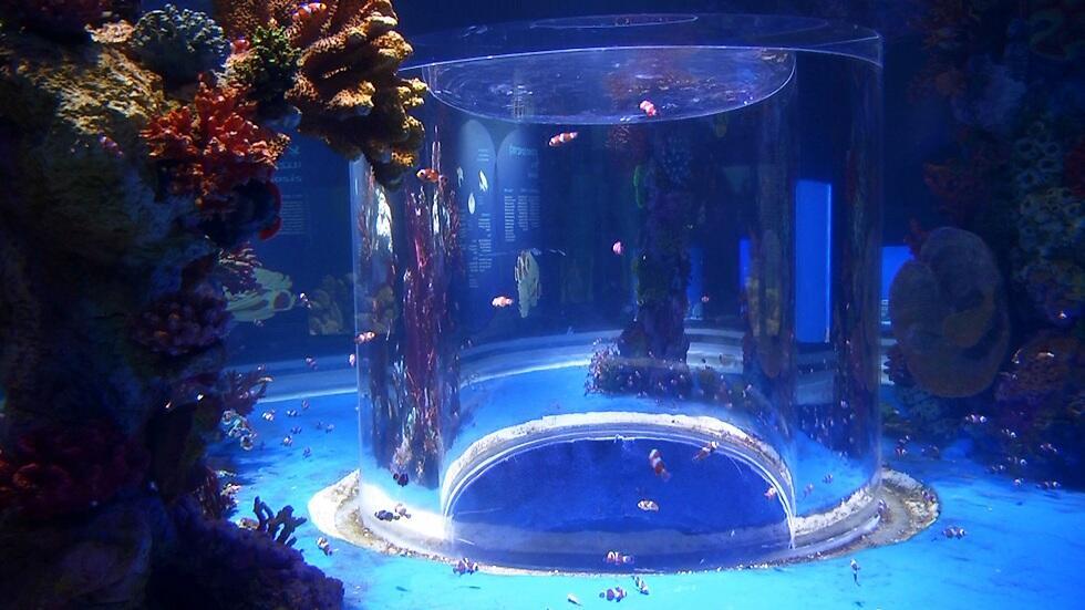 Photo: Eli Mandelbaum