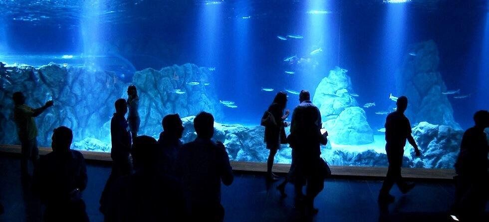 Photo: Eli Mandelbaum