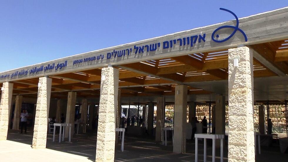 Photo: Eli Mandelbaum