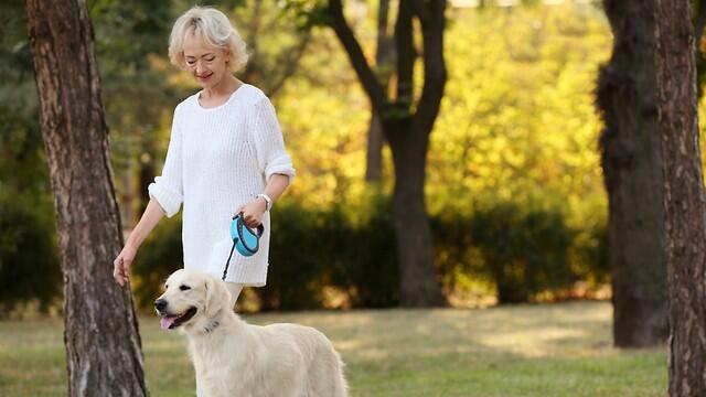 Иллюстрация: shutterstock (צילום: shutterstock) Иллюстрация: shutterstock