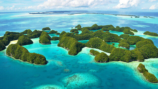 Фото: shutterstock