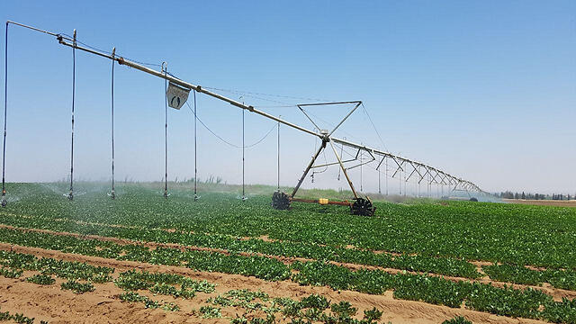 Farmers in communities around Gaza resumed agricultural works