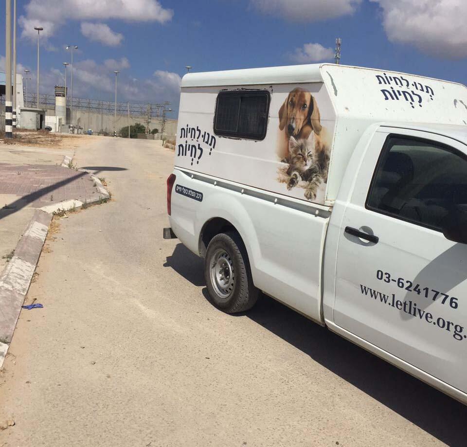 Амбуланс организации по спасению животных ждет у КПП (Фото: Тну ле хайот лихйот) Амбуланс организации по спасению животных ждет у КПП