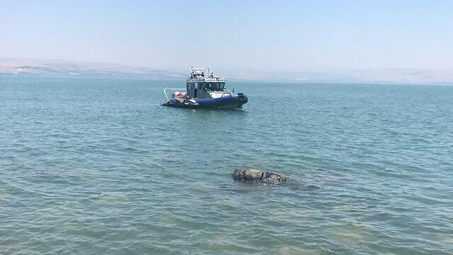 Кинерет. Фото: полиция (צילום: דוברות משטרה) Кинерет. Фото: полиция