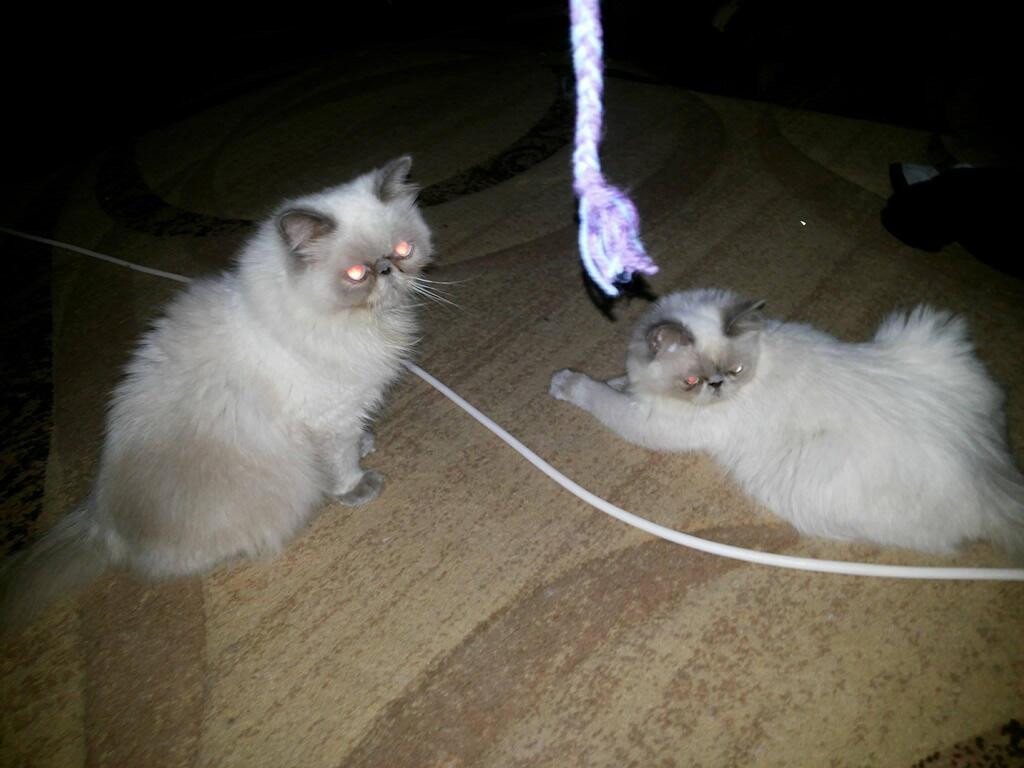 Соня с матерью. Фото: Татьяна Закут (Татьяна Закут) Соня с матерью. Фото: Татьяна Закут