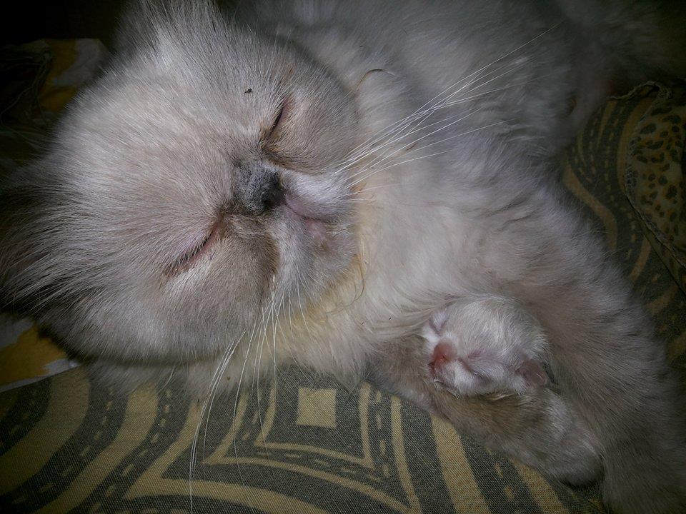 Бусинка с Соней (Татьяна Закут) Бусинка с Соней