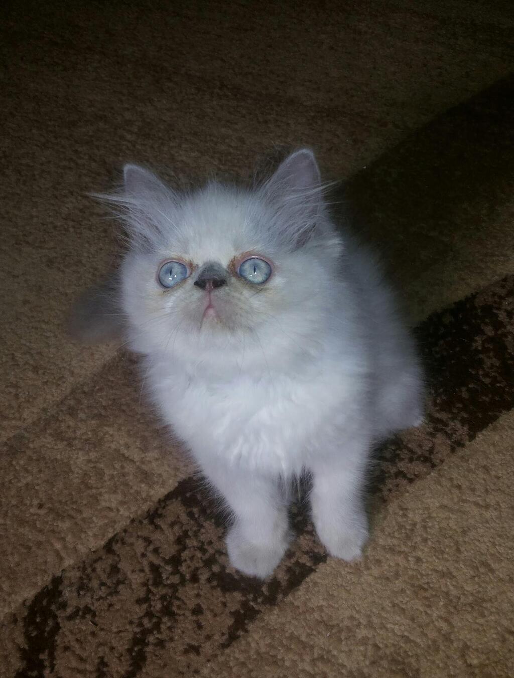 Соня в детстве (Татьяна Закут) Соня в детстве