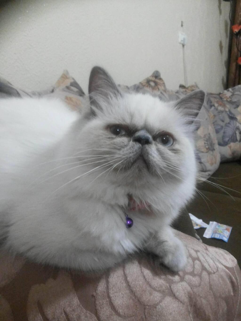 Соня дома до болезни. Фото: Татьяна Закут (Татьяна Закут) Соня дома до болезни. Фото: Татьяна Закут