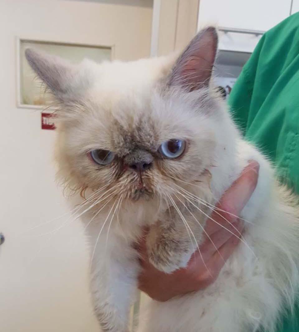 Соня в руках у израильского врачаnullnull Соня в руках у израильского врача