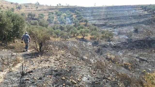The aftermath of the fire (Photo: Yesh Din)
