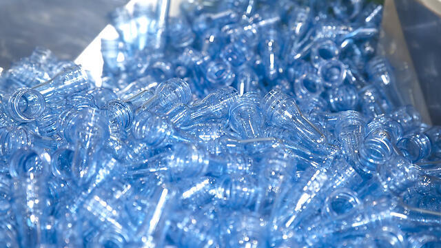 Фото: shutterstock (צילום: shuttertock) Фото: shutterstock