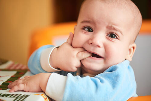 Фото: shutterstock