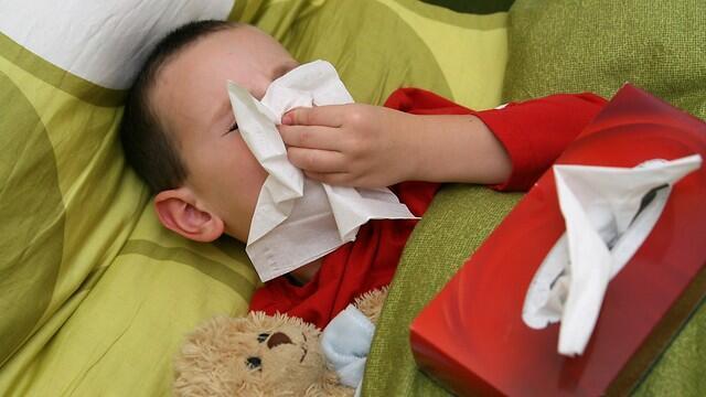 Фото: shutterstock (צילום: shutterstock) Фото: shutterstock