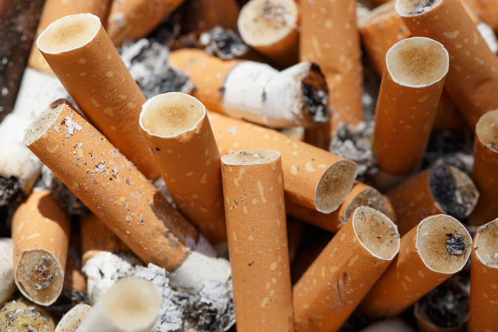 Фото: shutterstock